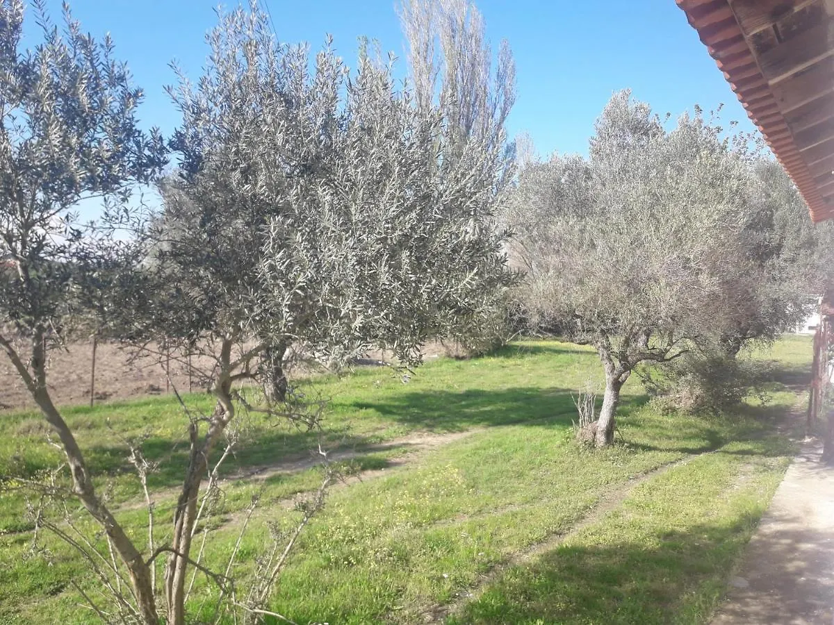 Ferienhaus Olympian Garden Home Agios Nikolaos